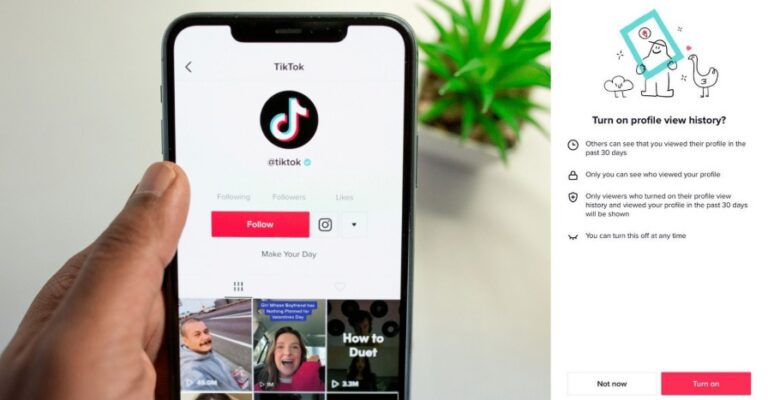 TikTok feature