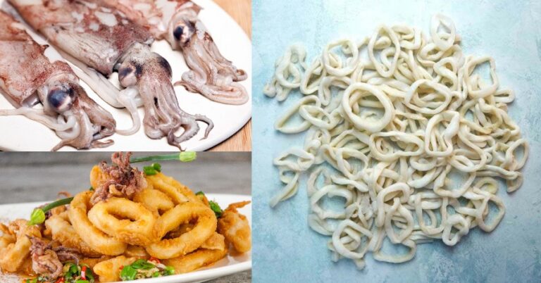 squid and calamari