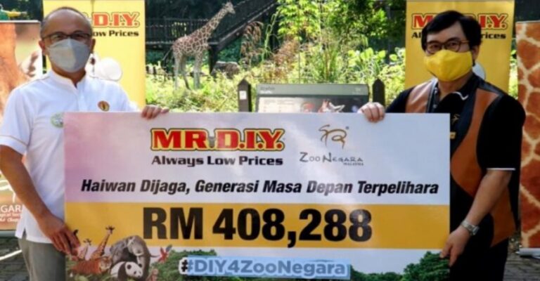 MR DIY