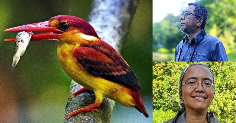 birdwatching