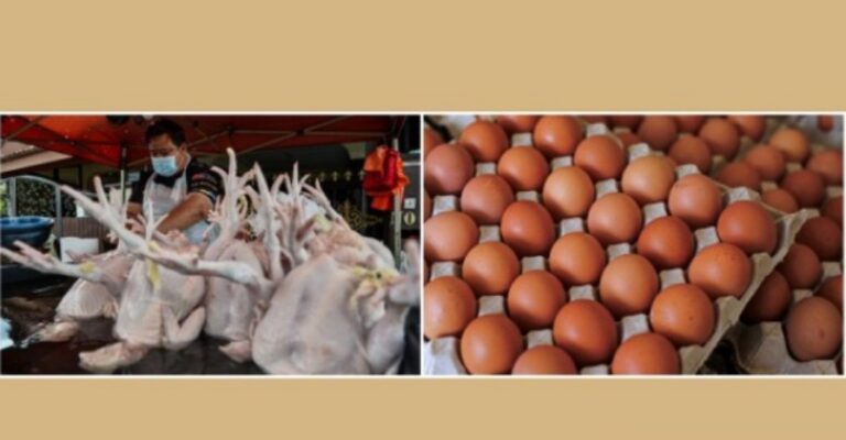 chicken price