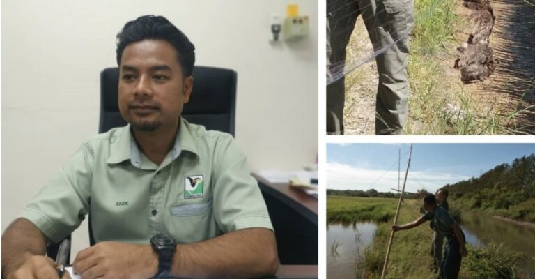 endangered bird species