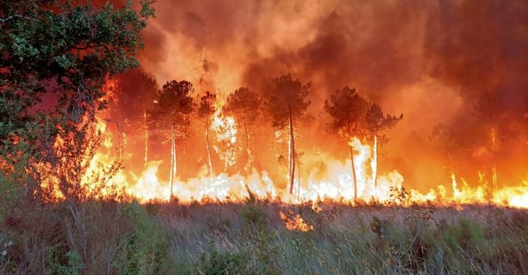 huge wildfire