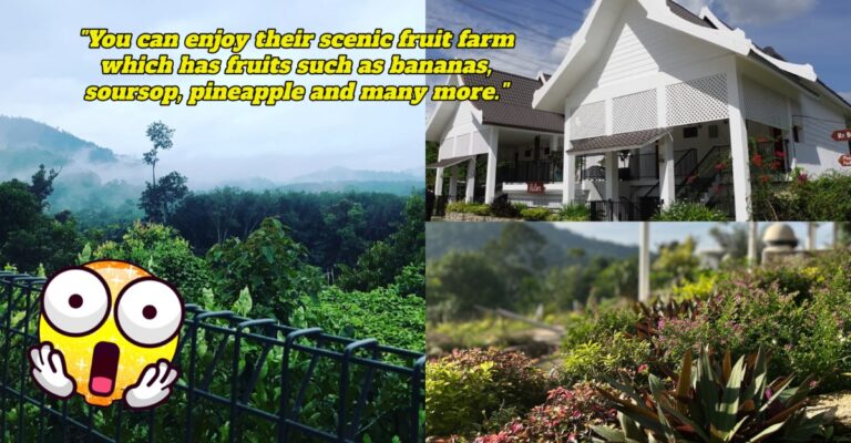 Jelatok Retreat Farm