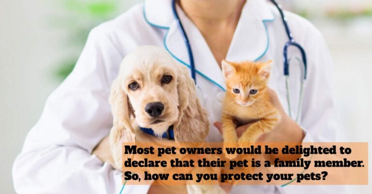 pets
