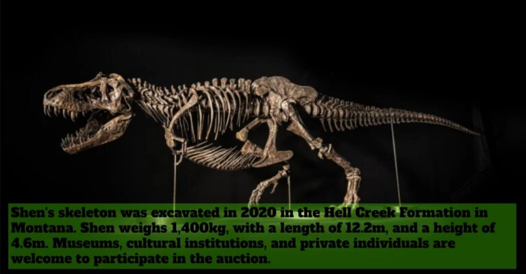 skeleton