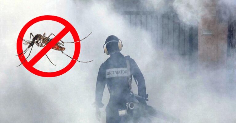 Preventing dengue