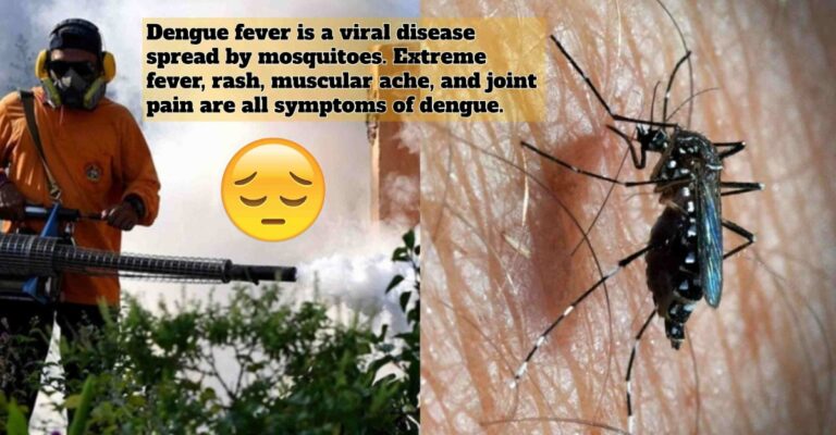 dengue