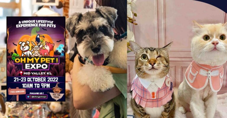 pet expo