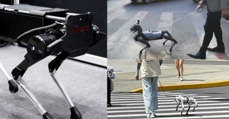 robotic dogs