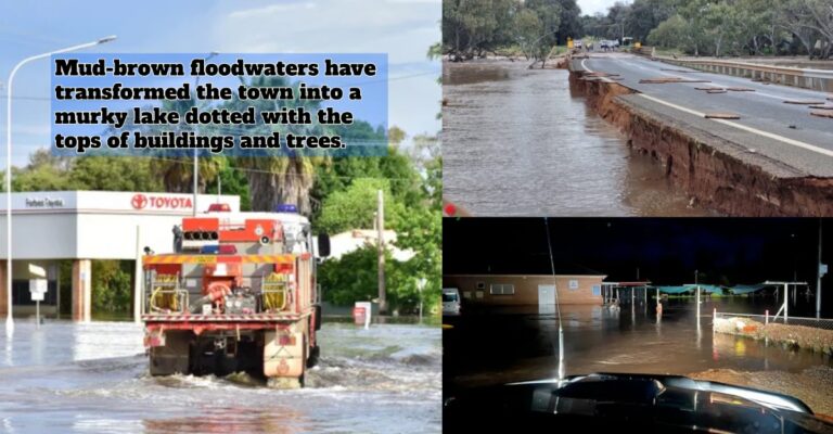 Australians