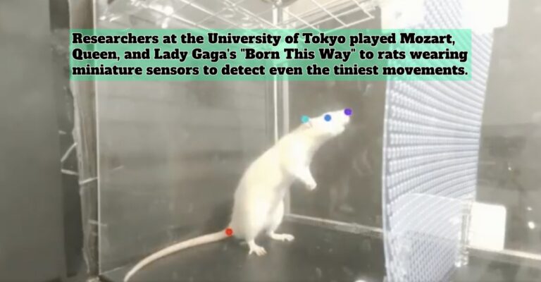 Born This Way