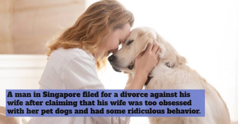 dogs