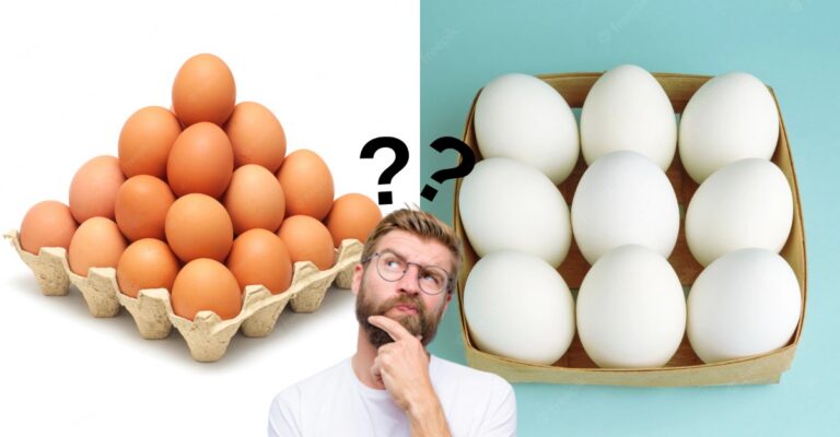 eggs