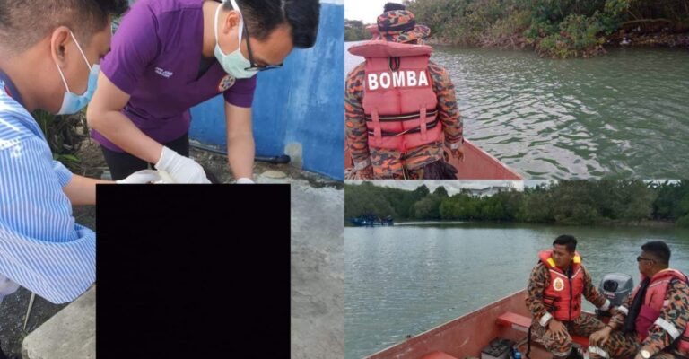 crocodile attack