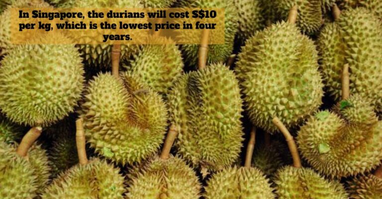 durians