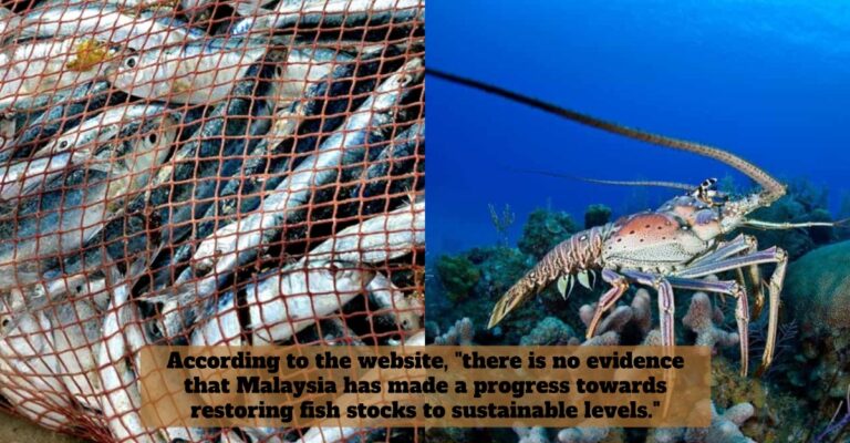 fisheries