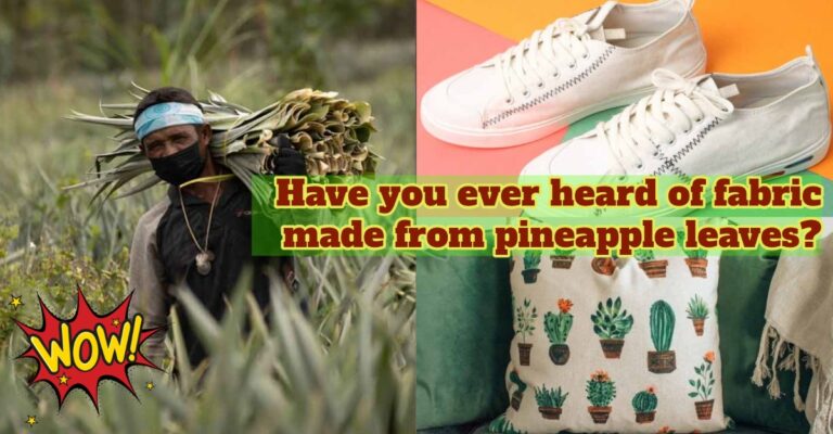 pineapple leaves