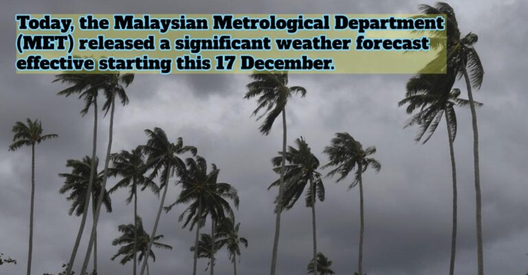 weather forecast