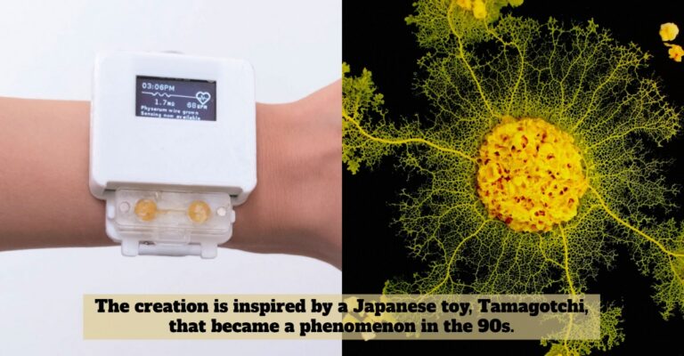 smartwatch