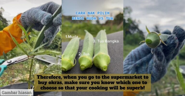 okra
