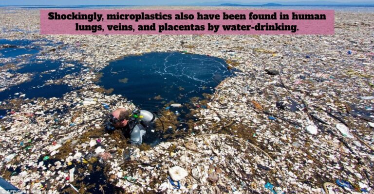 plastics