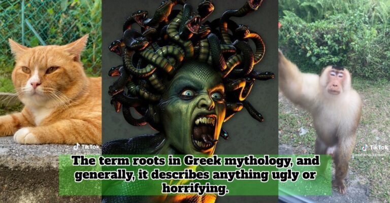 Gorgon
