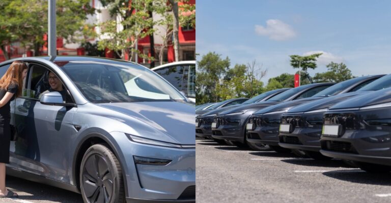 New Model Y