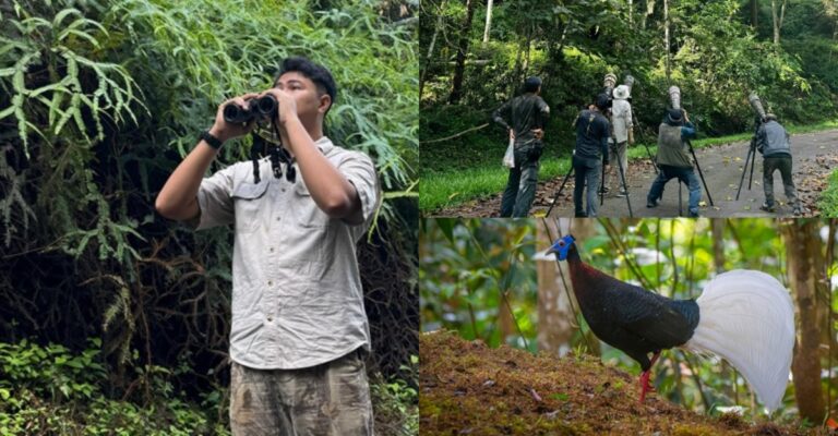 Birding In Sabah