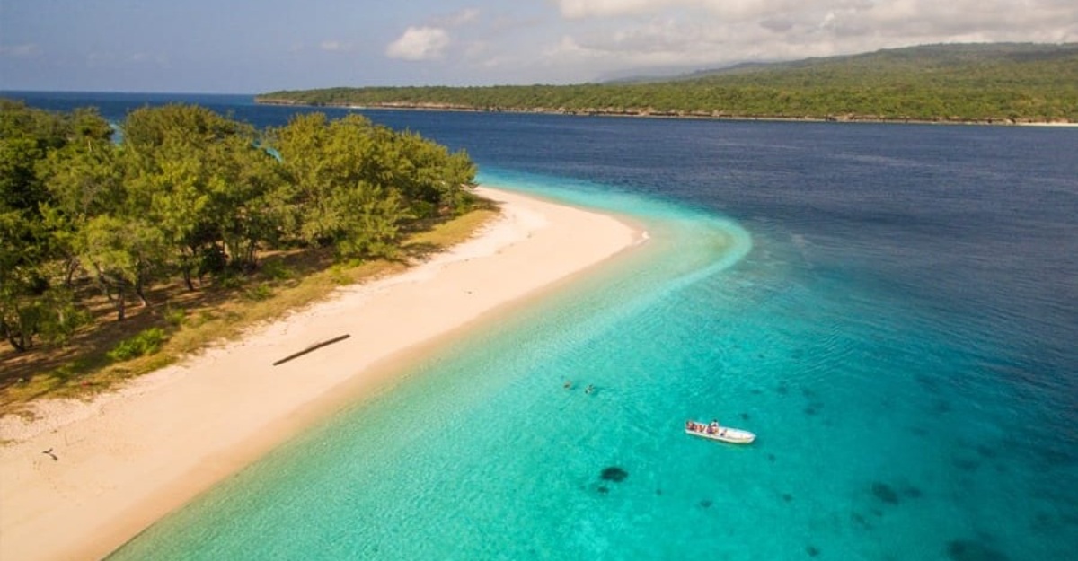 Siakap Keli Article Cover 1761720513