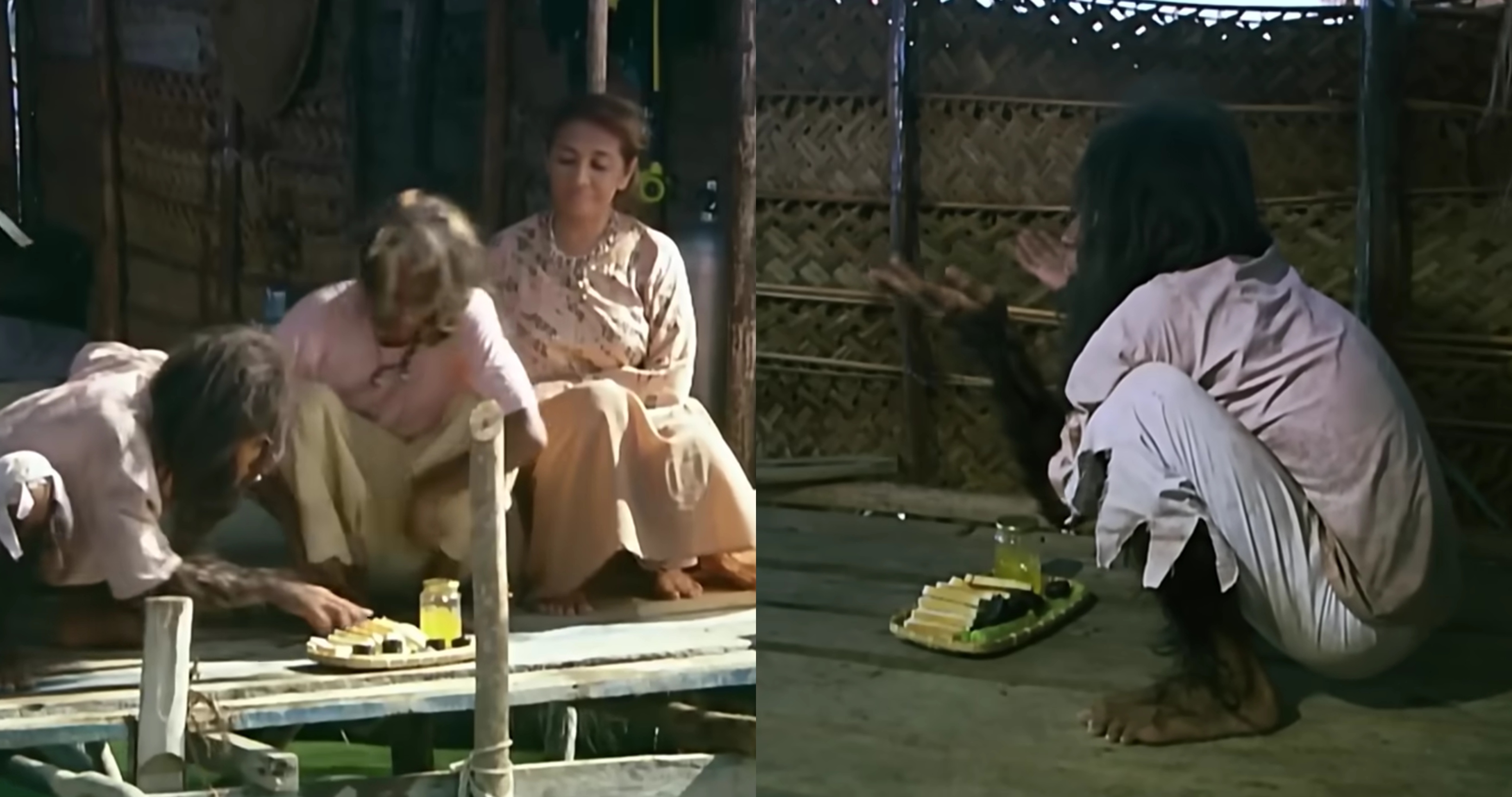 BeFunky Collage 15 2