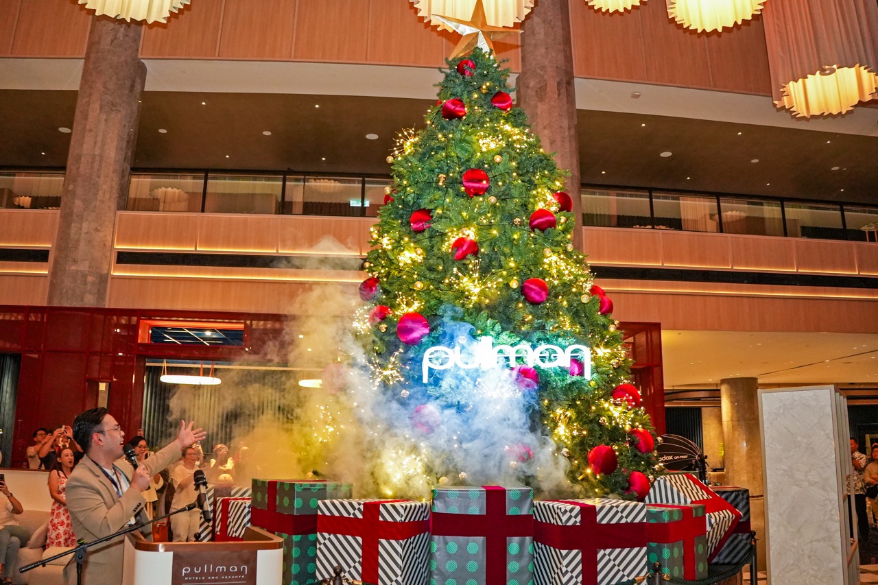 Christmas Light Up Large