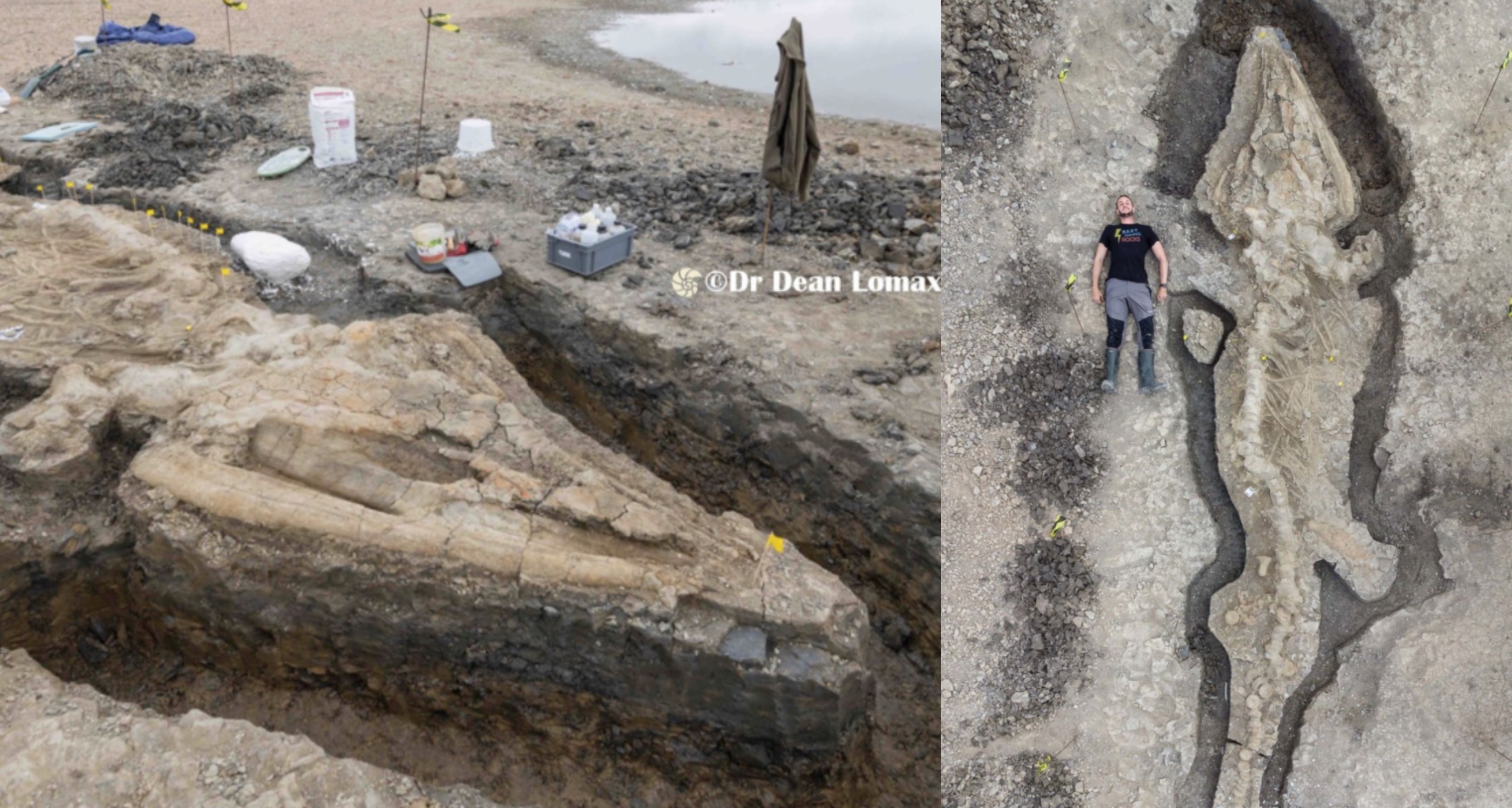 Befunky 2026 0 3 14 58 38