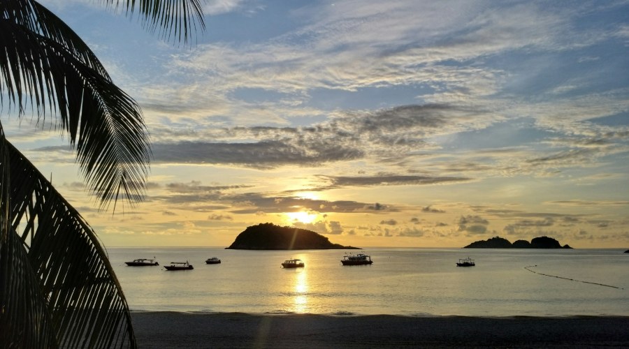 BeFunky Collage 30 1