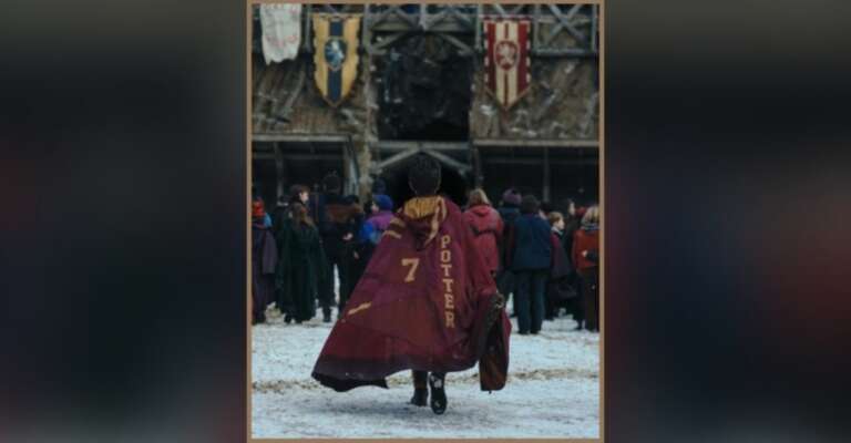 Harry Potter series