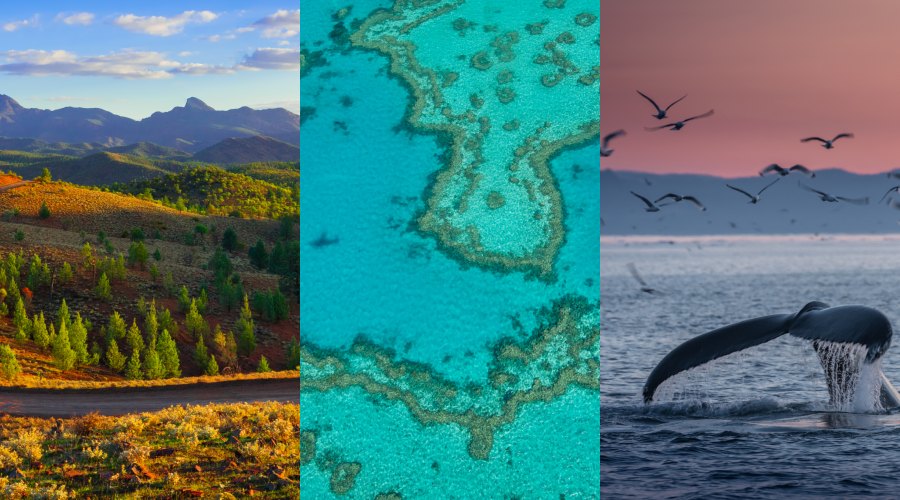 BeFunky Collage 2026 04 29T110210.422