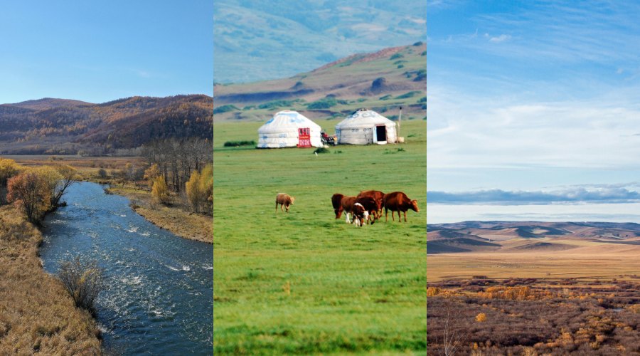 BeFunky Collage 2026 04 29T110407.697