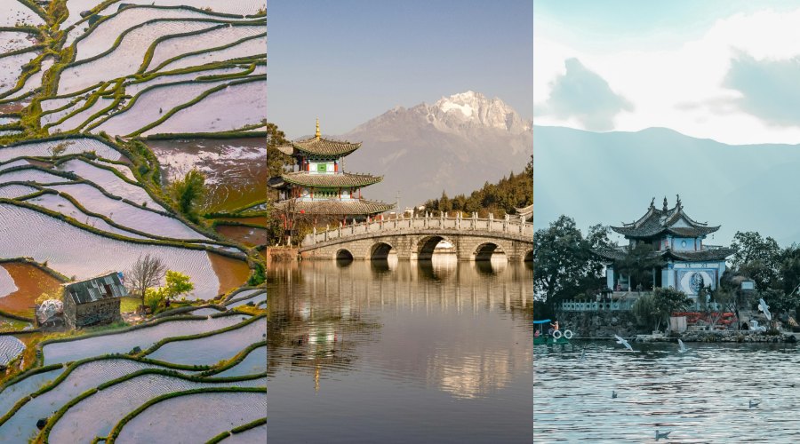 BeFunky Collage 2026 04 29T110605.269