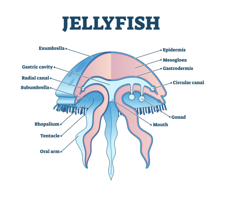 Screenshot 2026 04 16 At 5.39.30 PM