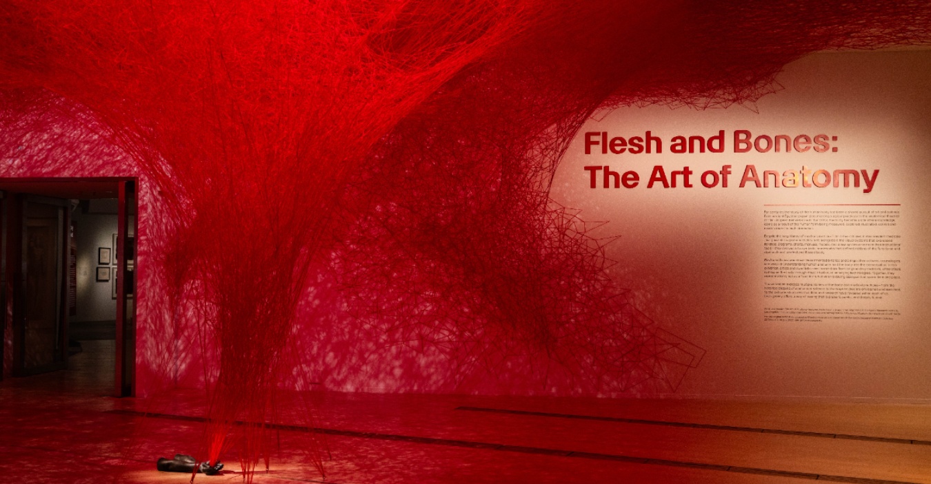 Siakap Keli Article Cover 1775719856 1